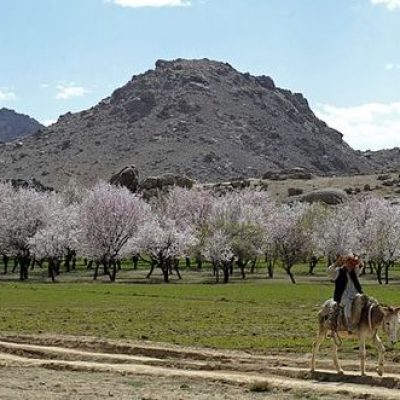 Zabul